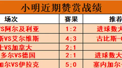 2026独家推荐：澳威超下午场强队解析，精彩比分速递